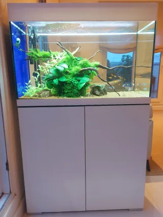 Acuario Oase Styleline 175 Completo