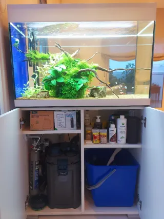 Acuario Oase Styleline 175 Completo