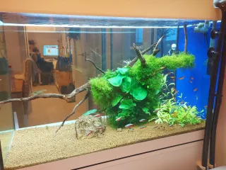 Acuario Oase Styleline 175 Completo