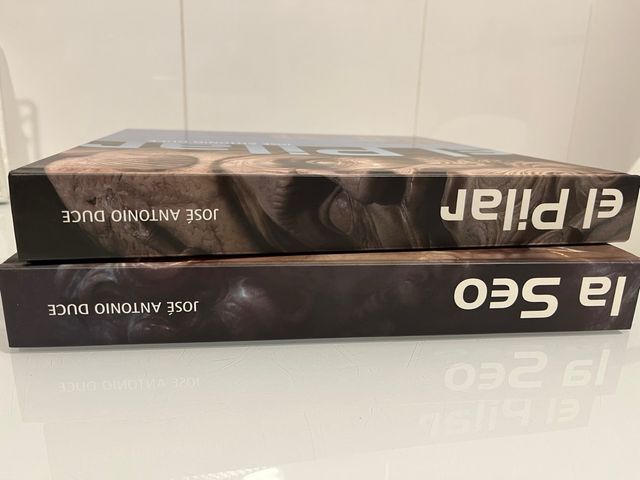 Libros El Pilar y La Seo de José Antonio Duce.