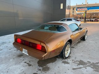 Pontiac Firebird 1980