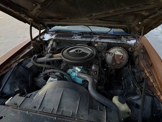 Pontiac Firebird 1980