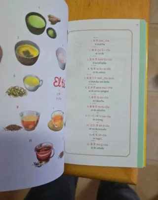 Despegamos, Inglés y Japonés