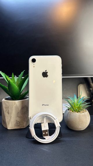 iPhone XR 100% Batteria in Salute