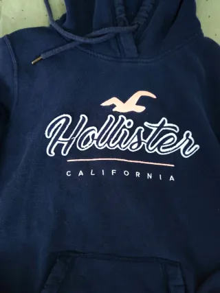Sudadera Hollister