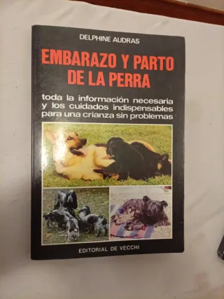 Embarazo y parto de la perra