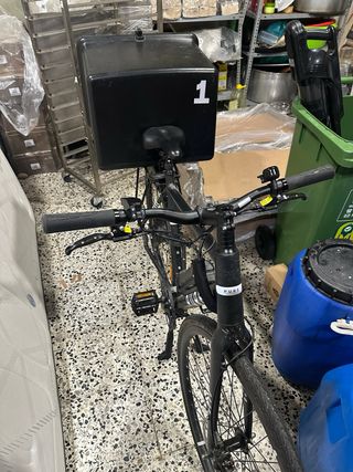 Bicicleta eléctrica PURE - Como nueva. Sense caixa