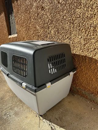 Transportín perro grande