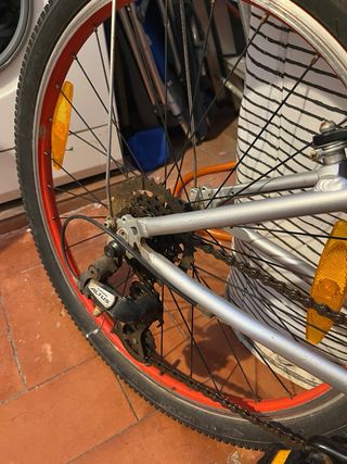 Bicicleta Trek para niño