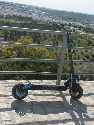 Patinete Eléctrico Smartgyro Rokway