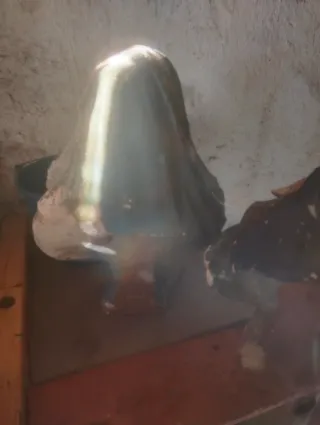 Bustos terracota príncipe y princesa