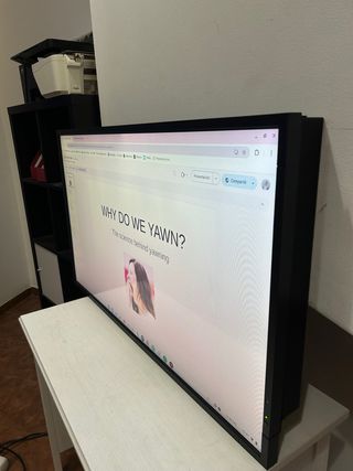 Monitor Profesional NEC Gran Formato