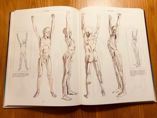 Anatomía, perspectiva y composición para el art...