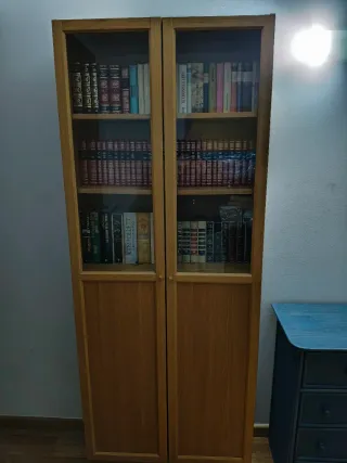 Librería de madera y cristal