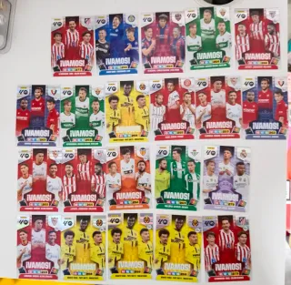 Faltas Adrenalyn XL 25-26