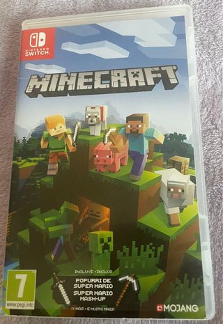 Minecraft Nintendo Switch