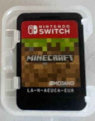 Minecraft Nintendo Switch