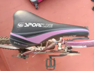 Bicicleta AGECE morada de 24 pulgadas