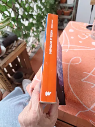 Libro Antes de diciembre