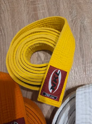 Cinturón Judo Oficial Verde 2.90m