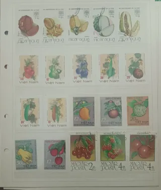 Lotto francobolli Usati