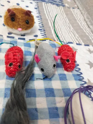 8 Ratoncitos de peluche para gatos y otro.