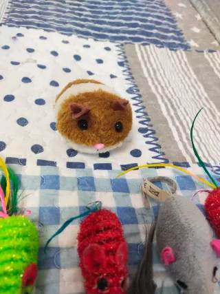 8 Ratoncitos de peluche para gatos y otro.