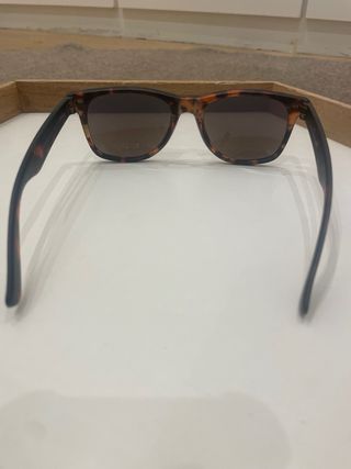 Gafas de sol Sun Planet Tortoise