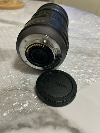 Panasonic Lumix G Vario 100-300mm O.I.S