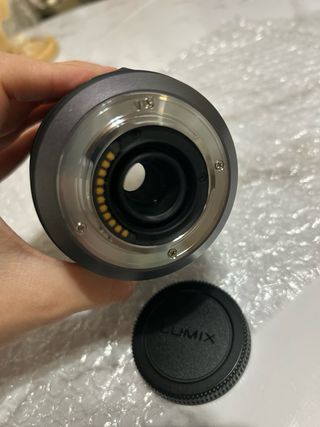 Panasonic Lumix G Vario 100-300mm O.I.S
