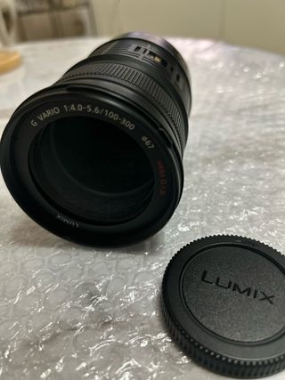 Panasonic Lumix G Vario 100-300mm O.I.S