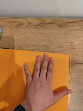 Bluey. Un cuento - El arroyo (edición en español)