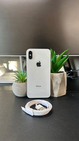 iPhone X 100% batteria sana