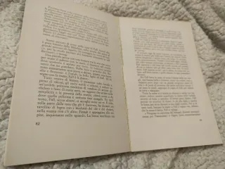 Libro IL CIMITERO DEI DINOSAURI