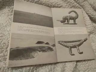 Libro IL CIMITERO DEI DINOSAURI