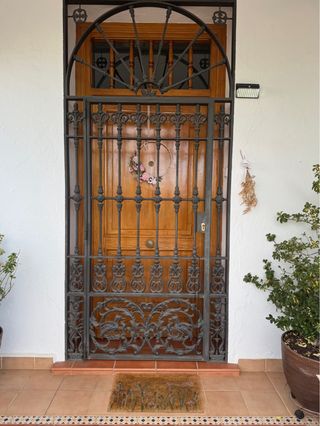 Reja de forja para puerta