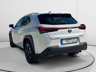 Lexus UX 250 h Business