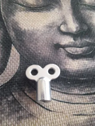 Llave purgador radiador