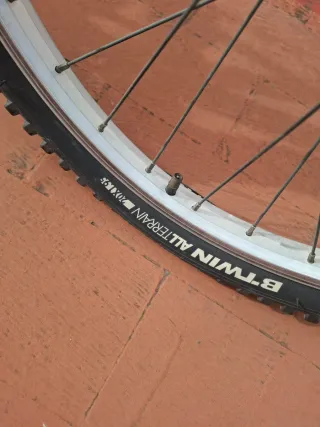 Bicicleta infantil 20 roja