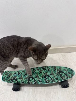 Skate Camuflaje Verde