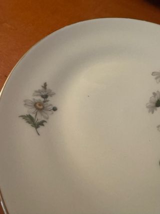 Servizio Piatti Richard Ginori con Fiori