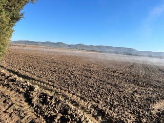 Tierra fértil para cultivo