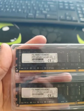 2x 8GB DDR3 1600MHz G.Skill RAM