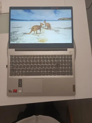 Portátil Lenovo IdeaPad 3 15ADA05