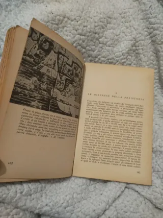 Bermuda: il triangolo maledetto