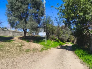 Parcela para alquiler en Cartama