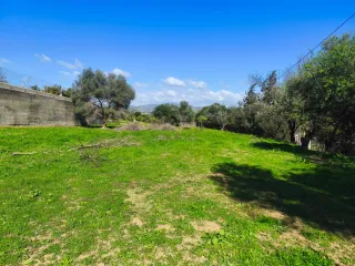 Parcela para alquiler en Cartama