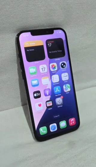 iPhone 12 Pro Max Plata