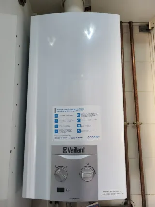 Caldera Vaillant Gas Natural