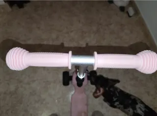 Patinete evolutivo rosa